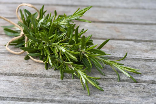 Why Rosemary Is Best For Hair Growth?
