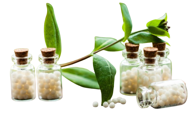 comprehensive homeopathic consultation